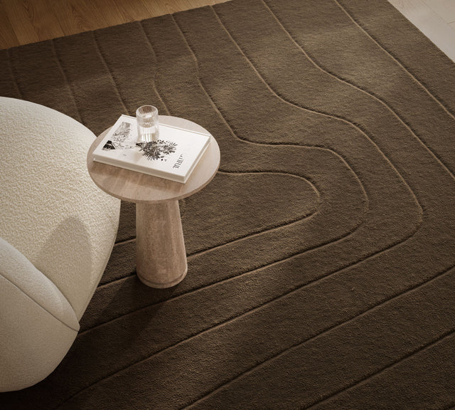 Canyon Collection area rug in a room