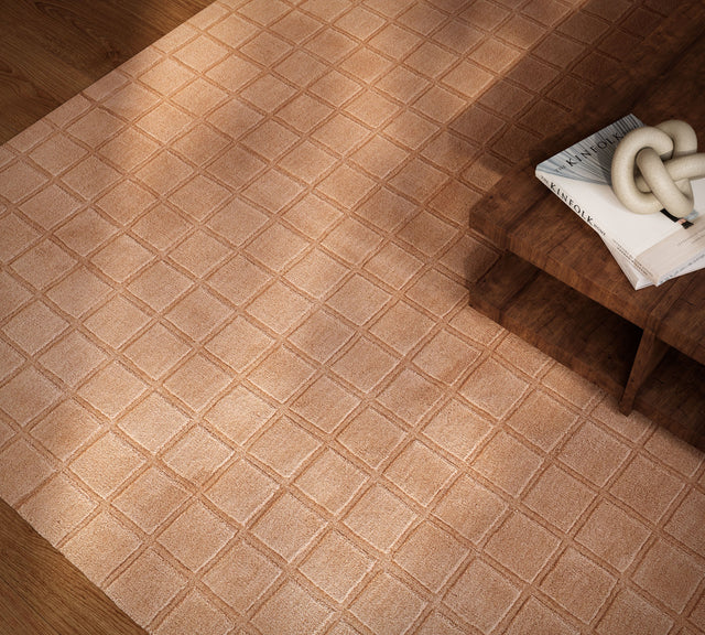 Contour Collection area rug in a room