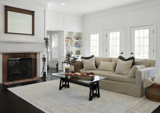 Isabella Collection area rug in a room