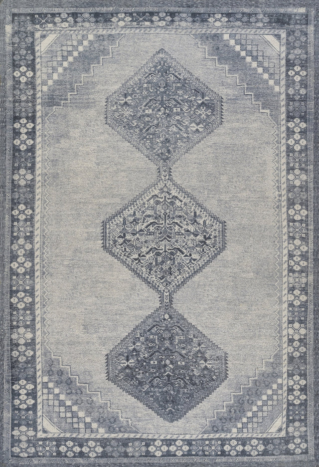 Luna Collection area rug in a room