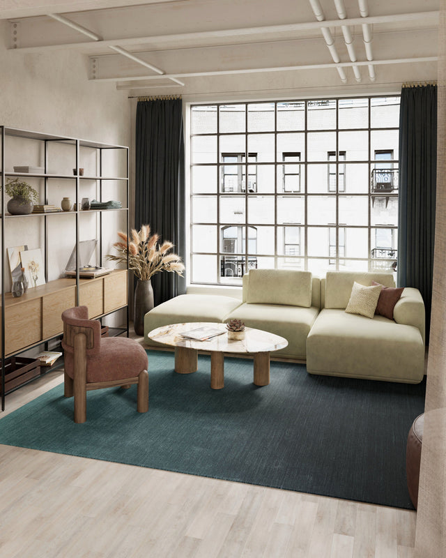 Ombre Collection area rug in a room
