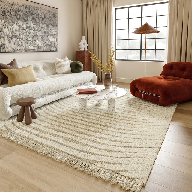 Textured and Shag Rugs
