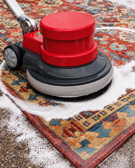 Rug Cleaning — Shag
