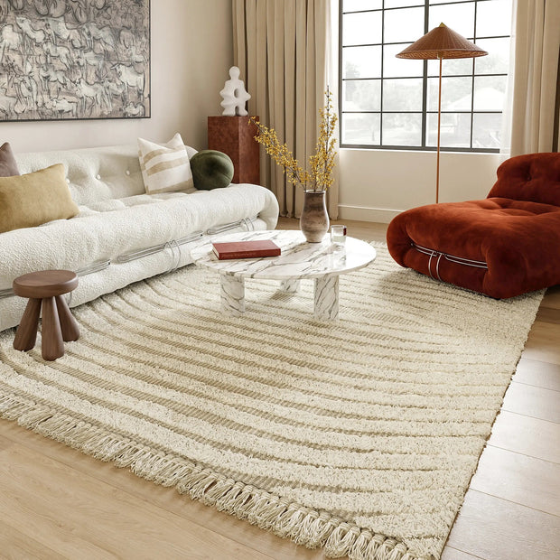 <h2>Textured and Shag Area Rugs</h2>